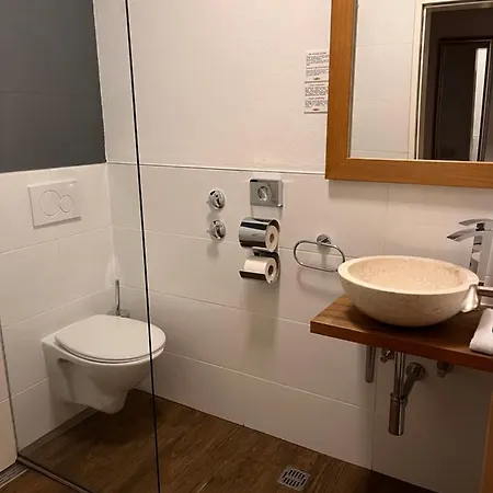 Hotel Löwen 3*